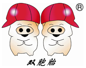 雙胞胎集團(tuán)股份有限公司